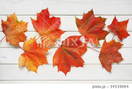 Bright autumn leaves on the wooden background 34539064
