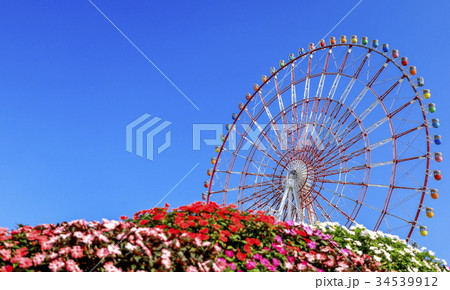 東京・お台場・パレットタウンの観覧車 34539912