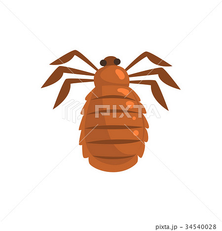 Louse insect parasite cartoon vector illustration 34540028