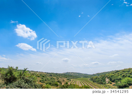 Judean Hills near Beit Shemesh 34541295