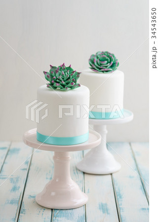 Mini succulent wedding cakes 34543650