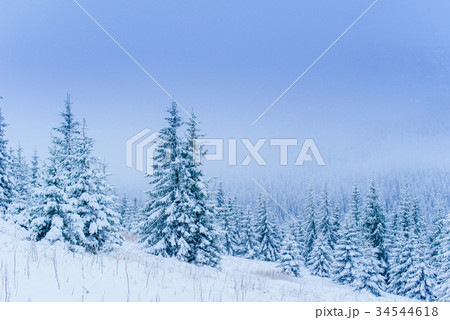 wonderful winter landscape  34544618