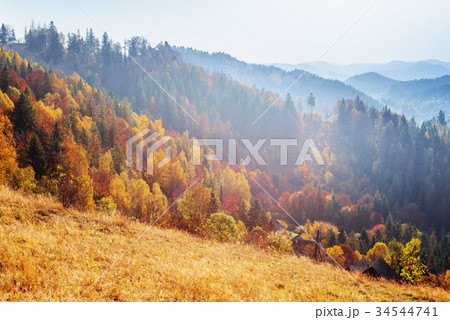 Scenic Autumn Landscape 34544741