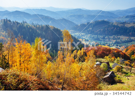 Scenic Autumn Landscape 34544742