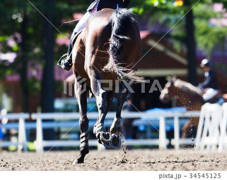 馬術大会 34545125
