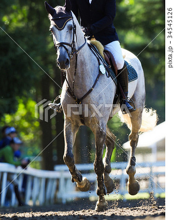 馬術大会 34545126