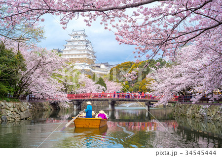 Himeji Castle with beautiful cherry blossom in spr Himeji Castle with beautiful cherry blossom in spr 34545444