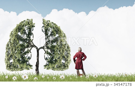 Protect forests 34547178