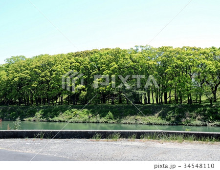 楠若葉公園 楠若葉公園 34548110