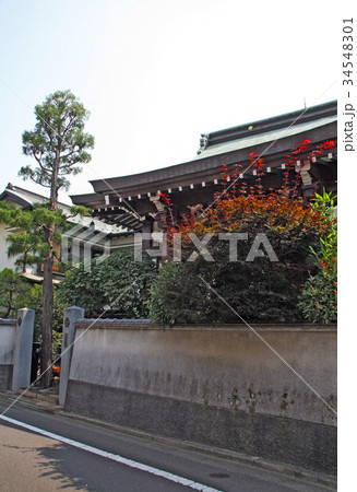 阿弥陀寺 阿弥陀寺 34548301