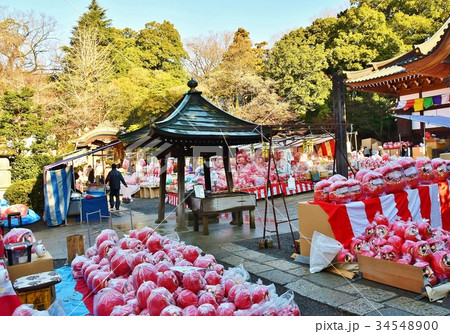 だるま市 34548900