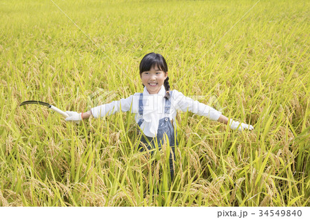 稲田に入って喜ぶ子供 34549840