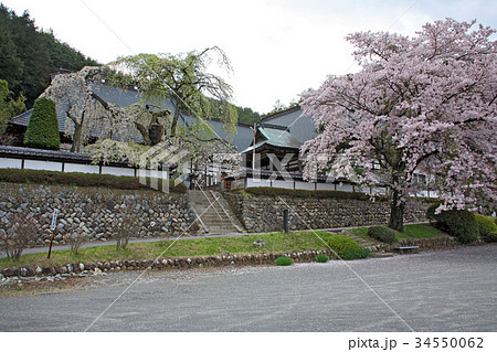 長松禅寺 長松禅寺 34550062