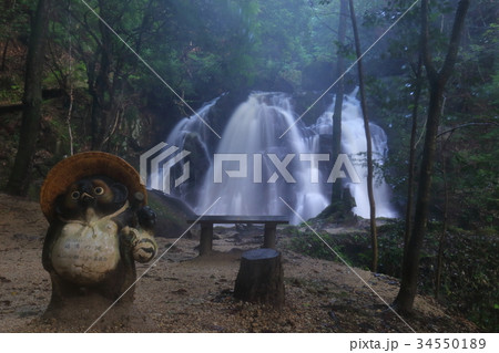 鶏鳴の滝 鶏鳴の滝 34550189