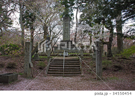 高遠城址公園 34550454