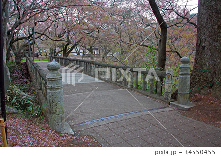 高遠城址公園 高遠城址公園 34550455