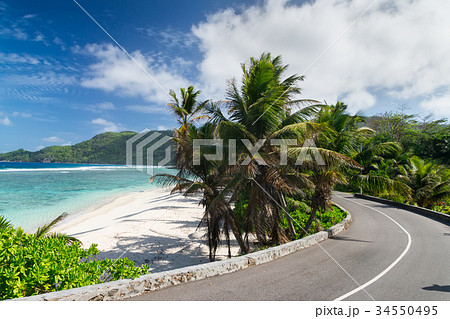 Coral sandy beach among the palm trees. Seychelle Coral sandy beach among the palm trees. Seychelle 34550495