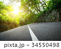 Seychelles. The road to palm jungle. 34550498