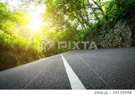 Seychelles. The road to palm jungle. Seychelles. The road to palm jungle. 34550498