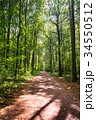Dirt road deep in the forest. 34550512