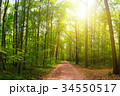 Hiking in the woods. 34550517