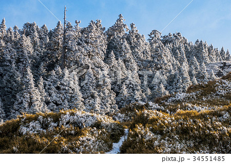 雪景 銀世界 雪景色 34551485
