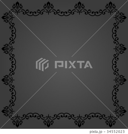 Floral Fine Frame Floral Fine Frame 34552023