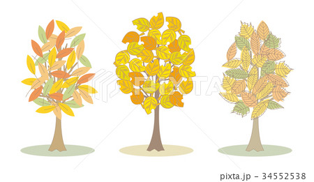 秋のカラフルな木 3種類のイラスト素材
