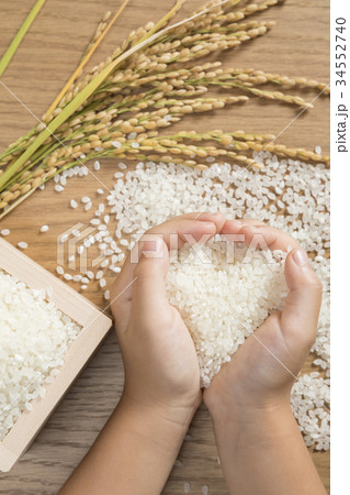 つきたての米と稲穂と子供の手 34552740