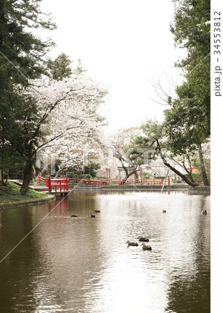 間々田八幡公園 34553812
