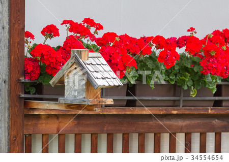 Flowers on a balcony - Selective focus Flowers on a balcony - Selective focus 34554654