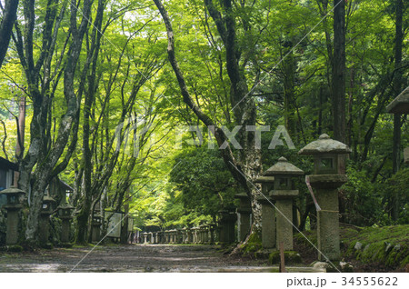 愛宕山の愛宕神社参道 34555622