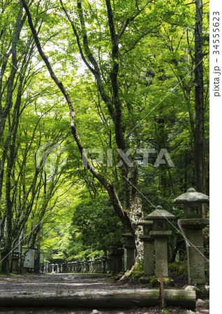 愛宕山の愛宕神社参道 34555623