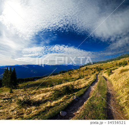 Road on green meadow 34556521