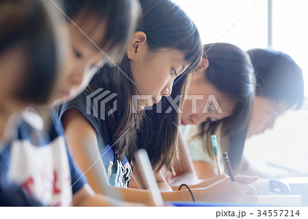 学校 - 学習塾 - 勉強 - 受験 34557214