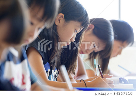 学校 - 学習塾 - 勉強 - 受験 34557216