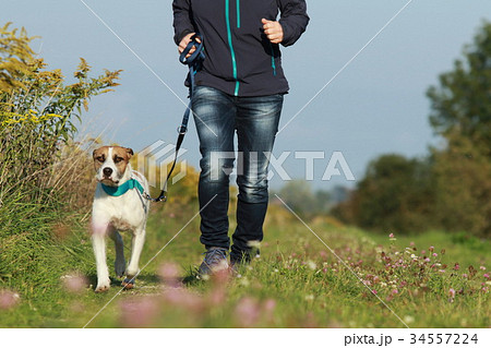 Sportive woman runs with her dog in autumn 34557224