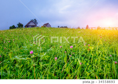 grass field in the mountains grass field in the mountains 34558693