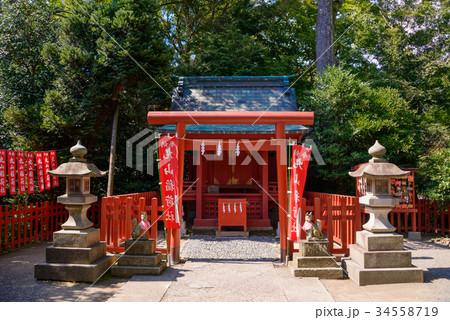鶴岡八幡宮（つるがおかはちまんぐう）・丸山稲荷社 34558719