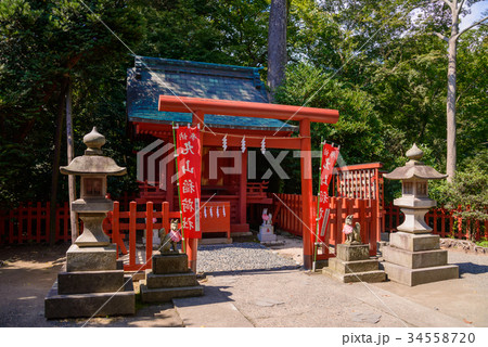 鶴岡八幡宮（つるがおかはちまんぐう）・丸山稲荷社 34558720