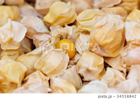 golden berry fruits golden berry fruits 34558842