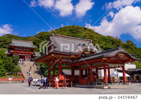 鶴岡八幡宮、舞殿・大石段・本宮 34559467