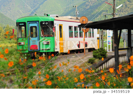 秋の 樽見鉄道 34559519