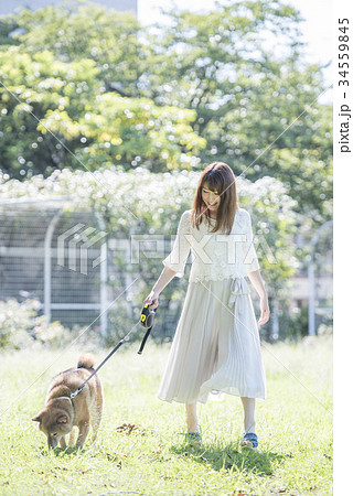柴犬と散歩する若い女性 柴犬と散歩する若い女性 34559845