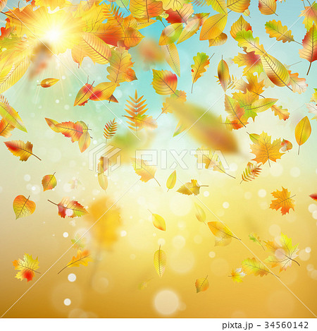 Autumn background with leaves. EPS 10 vector 34560142