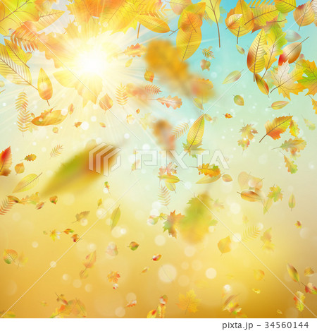 Autumn festive background. EPS 10 vector 34560144