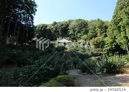 金滝山清水寺・観音堂 34560524