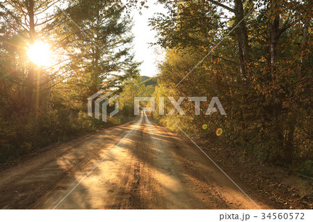 sunset in the autumn forest 34560572