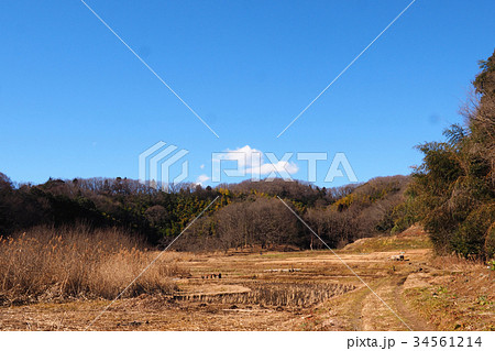 冬の谷戸風景 34561214