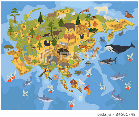 Flat Asian flora and fauna map constructor element Flat Asian flora and fauna map constructor element 34561748